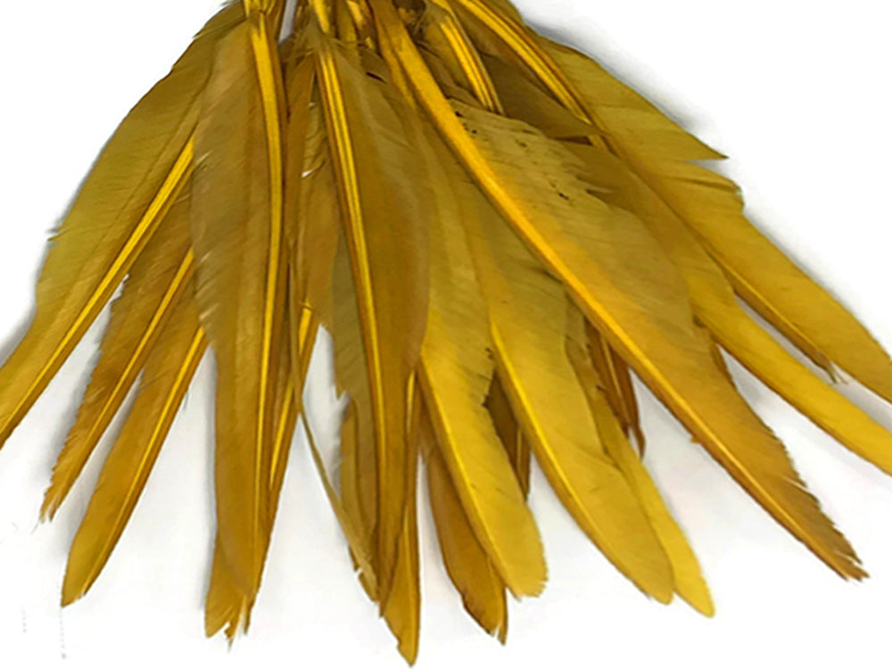 A quarter pound - Gold Antique Pointer Primary Accent Feathers for Wedding Backdrops & Arches