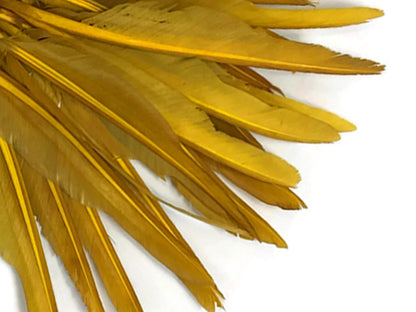 A quarter pound - Gold Antique Pointer Primary Accent Feathers for Wedding Backdrops & Arches