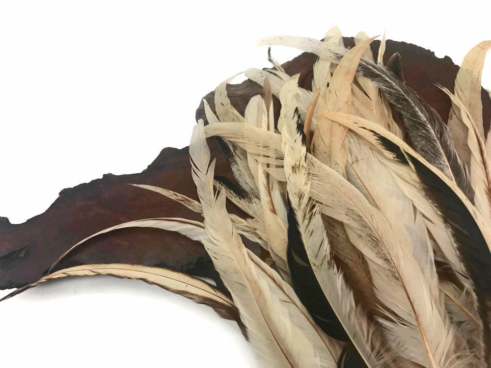 25 oz - 10-14" Natural Pack Beige Mix Accent Feathers for Wedding Centerpieces