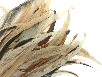 25 oz - 10-14" Natural Pack Beige Mix Accent Feathers for Wedding Centerpieces