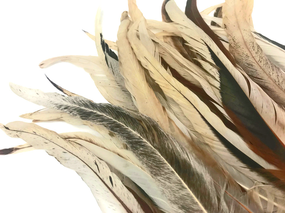 25 oz - 10-14" Natural Pack Beige Mix Accent Feathers for Wedding Centerpieces