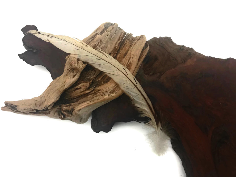25 oz - 10-14" Natural Pack Beige Mix Accent Feathers for Wedding Centerpieces