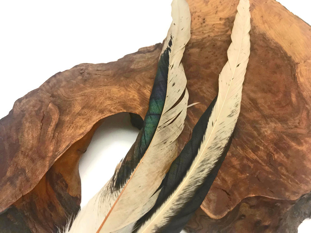 25 oz - 10-14" Natural Pack Beige Mix Accent Feathers for Wedding Centerpieces