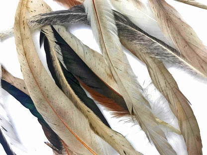 25 oz - 10-14" Natural Pack Beige Mix Accent Feathers for Wedding Centerpieces