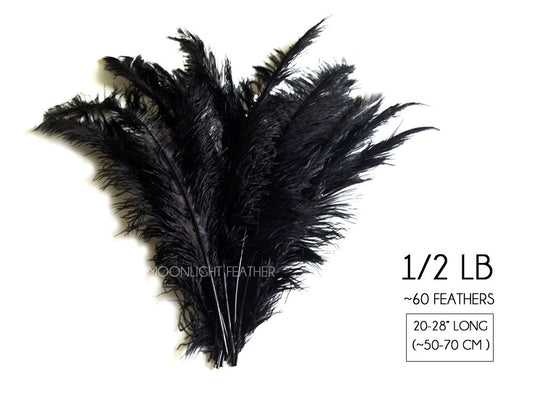 1/2 Lb - Black Large Ostrich Spads Wholesale Feathers 20-28" (Bulk)