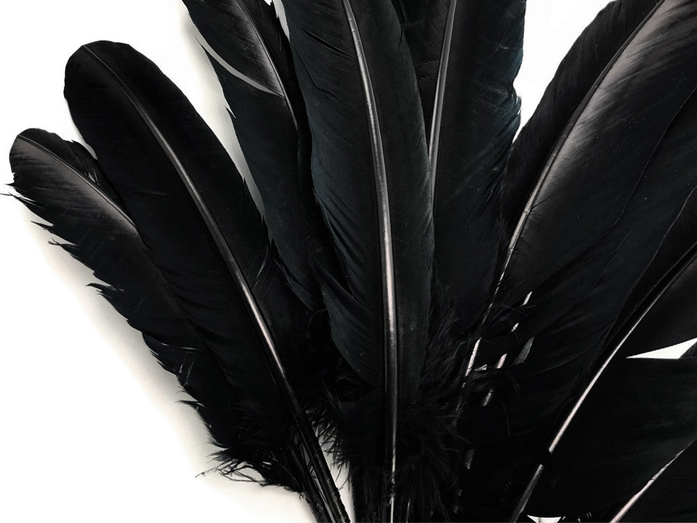 1/4 Lb - Black Turkey Tom Rounds Secondary Wing Quill Wholesale Feathers (Bulk) - Amazon SFP