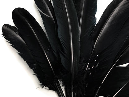 1/4 Lb - Black Turkey Tom Rounds Secondary Wing Quill Wholesale Feathers (Bulk) - Amazon SFP