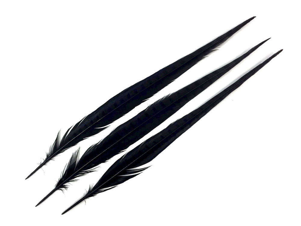 10 pieces - 18-22" Black Bleached Dyed Ringneck Accent Feathers for Wedding Centerpieces