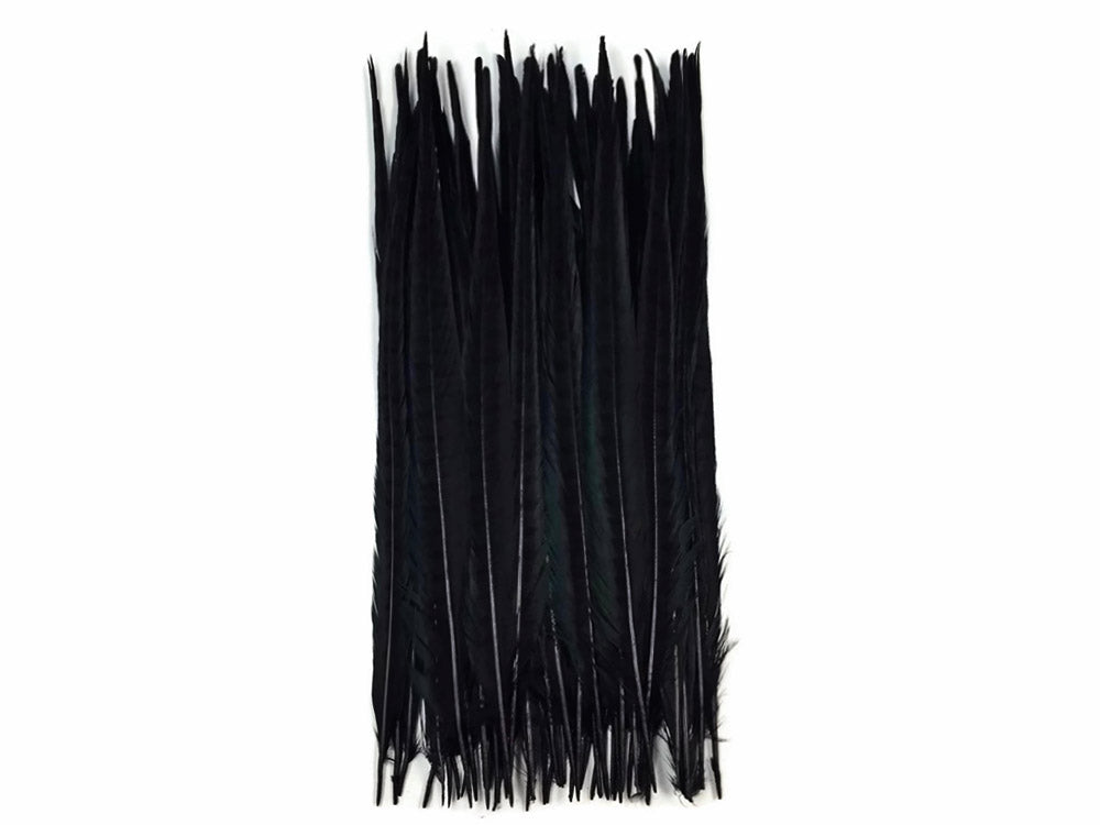 10 pieces - 18-22" Black Bleached Dyed Ringneck Accent Feathers for Wedding Centerpieces