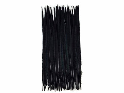10 pieces - 18-22" Black Bleached Dyed Ringneck Accent Feathers for Wedding Centerpieces