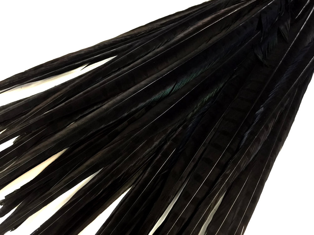 10 pieces - 18-22" Black Bleached Dyed Ringneck Accent Feathers for Wedding Centerpieces