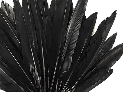 A quarter pound - Black Pointer Primary Wing Accent Feathers for Wedding Backdrops & Arches