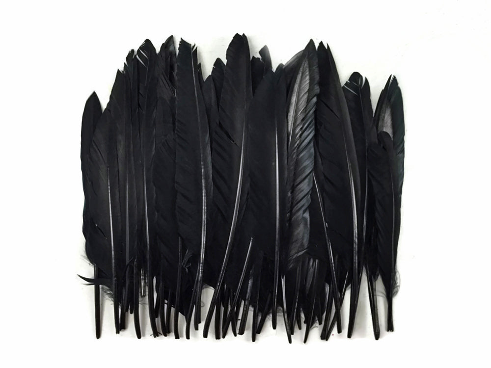 50 oz - Black Pack Primary Wing Accent Feathers for Wedding Centerpieces