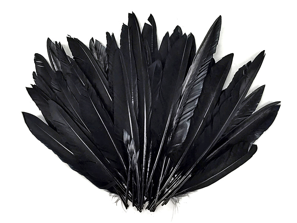 50 oz - Black Pack Primary Wing Accent Feathers for Wedding Centerpieces