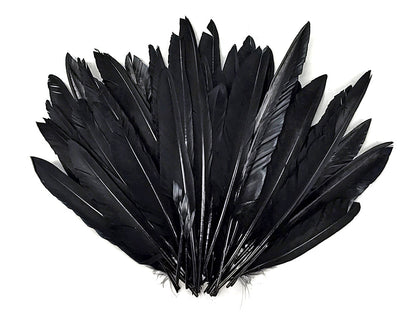 50 oz - Black Pack Primary Wing Accent Feathers for Wedding Centerpieces