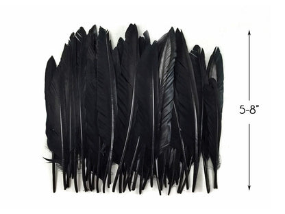 A quarter pound - Black Pointer Primary Wing Accent Feathers for Wedding Backdrops & Arches