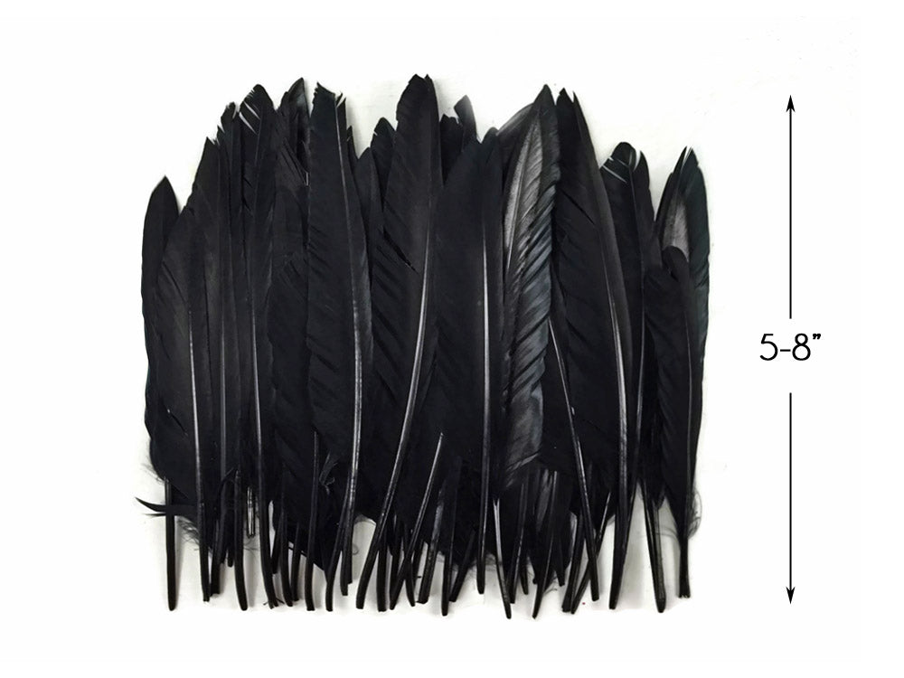 50 oz - Black Pack Primary Wing Accent Feathers for Wedding Centerpieces