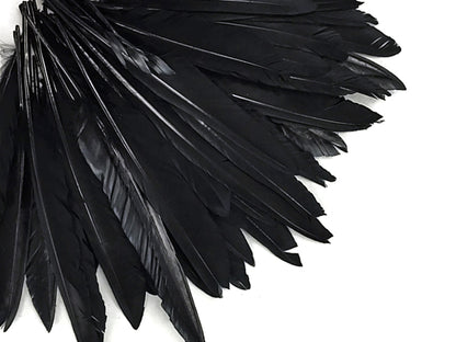 A quarter pound - Black Pointer Primary Wing Accent Feathers for Wedding Backdrops & Arches