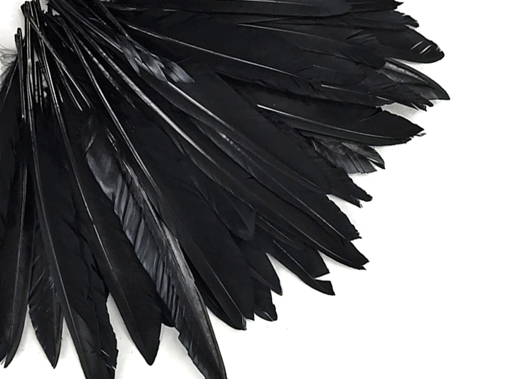 50 oz - Black Pack Primary Wing Accent Feathers for Wedding Centerpieces
