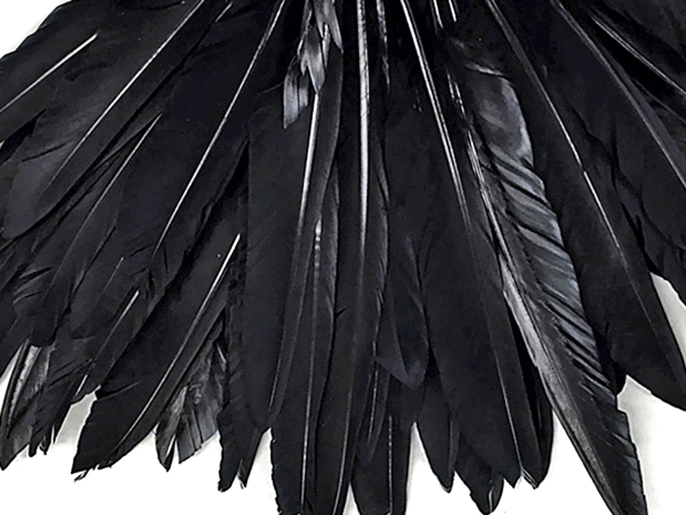 A quarter pound - Black Pointer Primary Wing Accent Feathers for Wedding Backdrops & Arches