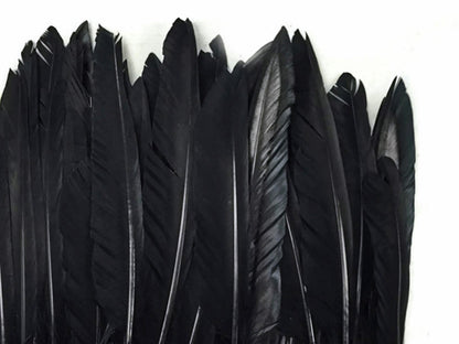 A quarter pound - Black Pointer Primary Wing Accent Feathers for Wedding Backdrops & Arches