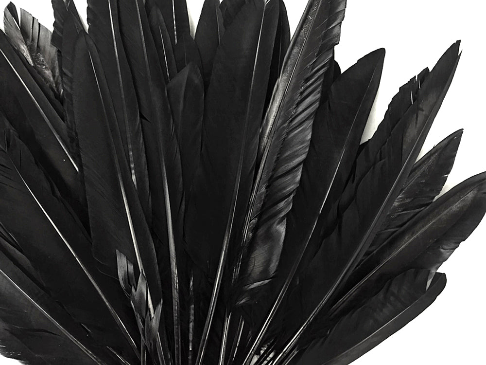 50 oz - Black Pack Primary Wing Accent Feathers for Wedding Centerpieces