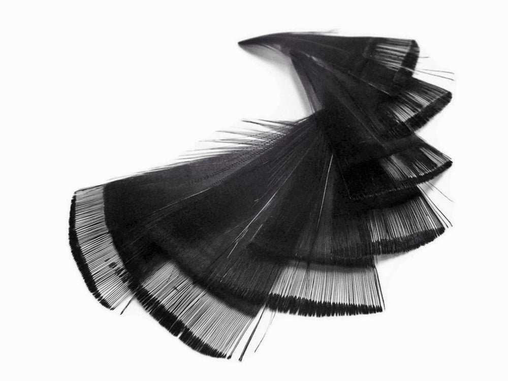 1 dozen - Black Dyed Golden Tippet Accent Feathers for Wedding Centerpieces