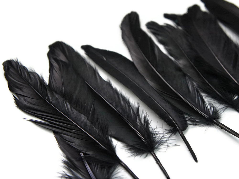 3 oz - Black Pack Satinettes Pallet Accent Feathers for Wedding Bouquets & Boutonnieres