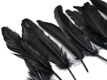 3 oz - Black Pack Satinettes Pallet Accent Feathers for Wedding Bouquets & Boutonnieres