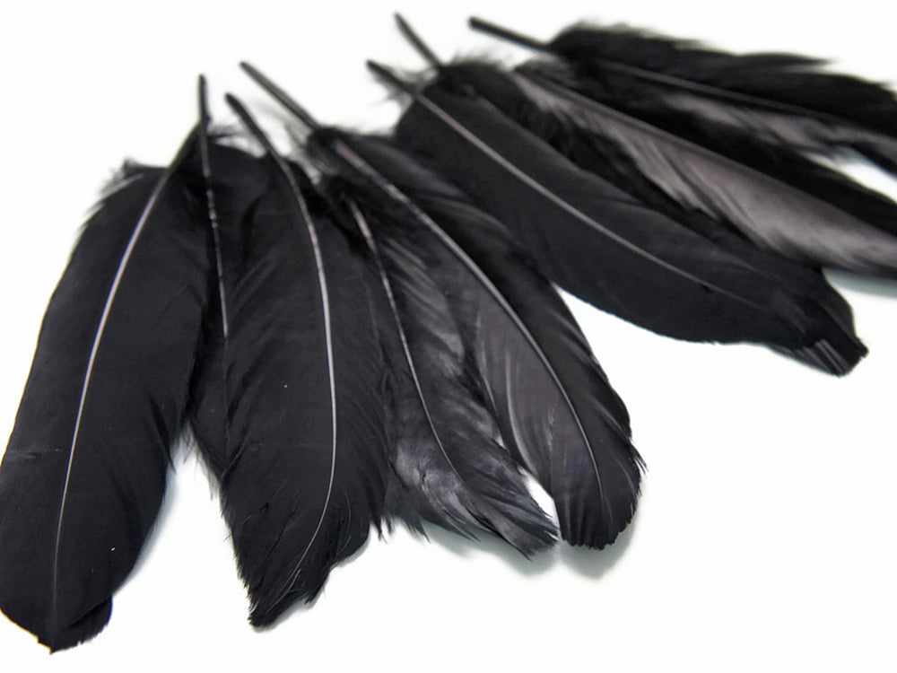 3 oz - Black Pack Satinettes Pallet Accent Feathers for Wedding Bouquets & Boutonnieres