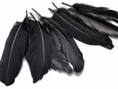 3 oz - Black Pack Satinettes Pallet Accent Feathers for Wedding Bouquets & Boutonnieres