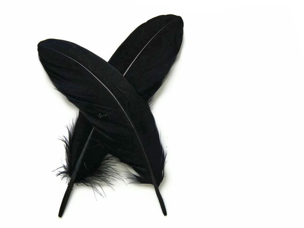 A quarter pound - Black Satinettes Pallet Soft Accent Feathers for Wedding Backdrops & Arches