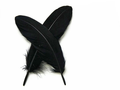 3 oz - Black Pack Satinettes Pallet Accent Feathers for Wedding Bouquets & Boutonnieres