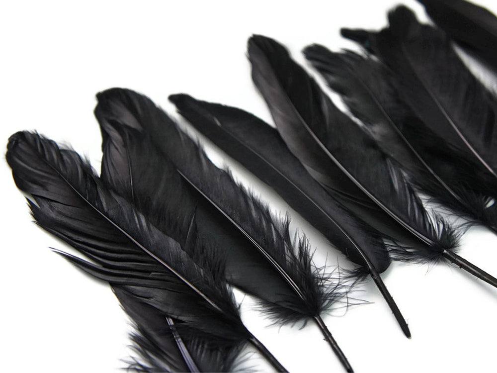 3 oz - Black Pack Satinettes Pallet Accent Feathers for Wedding Bouquets & Boutonnieres