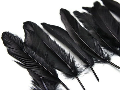 3 oz - Black Pack Satinettes Pallet Accent Feathers for Wedding Bouquets & Boutonnieres
