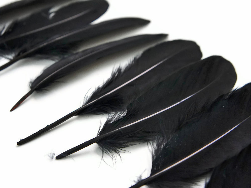 3 oz - Black Pack Satinettes Pallet Accent Feathers for Wedding Bouquets & Boutonnieres