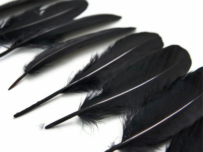 3 oz - Black Pack Satinettes Pallet Accent Feathers for Wedding Bouquets & Boutonnieres