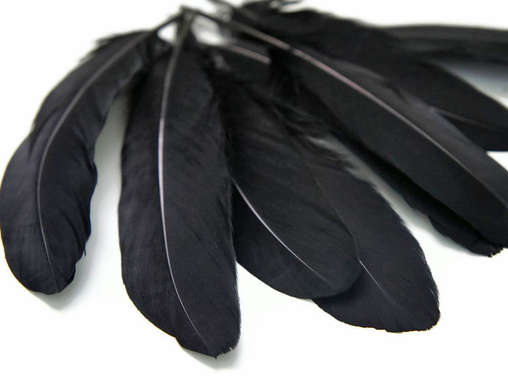 3 oz - Black Pack Satinettes Pallet Accent Feathers for Wedding Bouquets & Boutonnieres