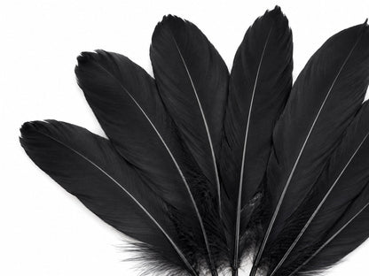 A quarter pound - Black Satinettes Pallet Soft Accent Feathers for Wedding Backdrops & Arches