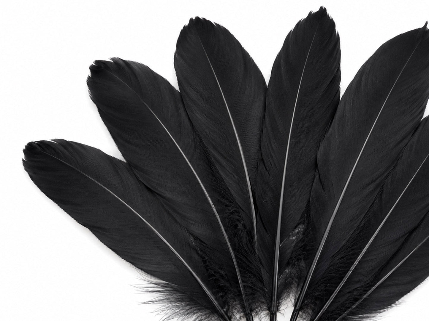 3 oz - Black Pack Satinettes Pallet Accent Feathers for Wedding Bouquets & Boutonnieres