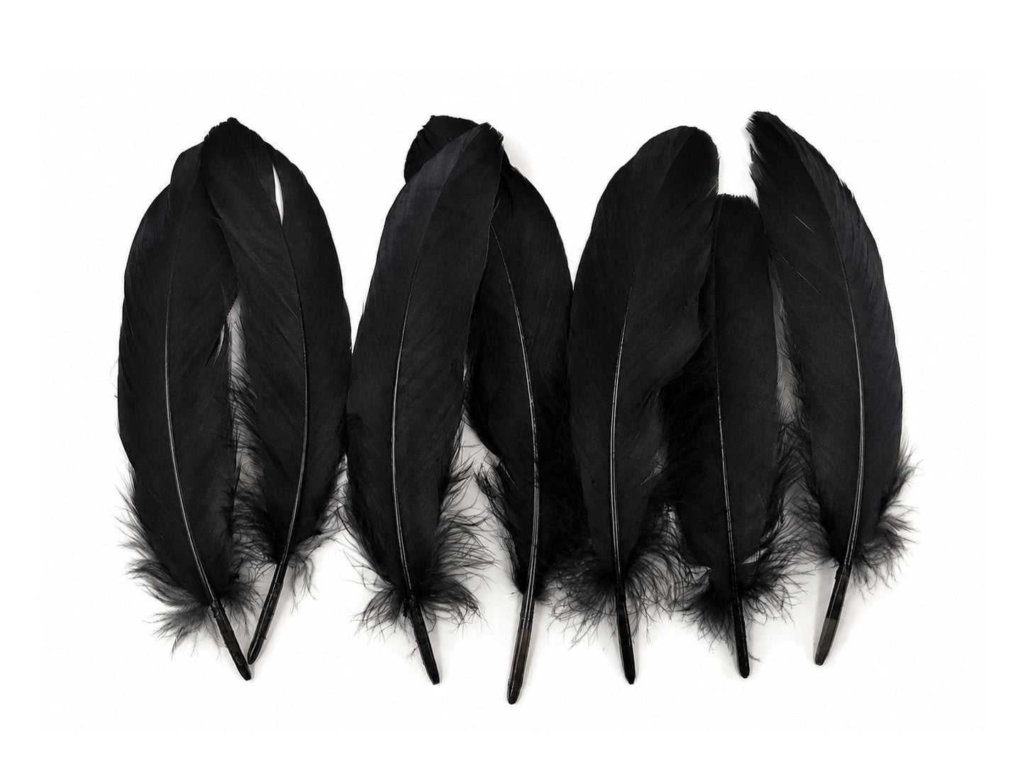 A quarter pound - Black Satinettes Pallet Soft Accent Feathers for Wedding Backdrops & Arches