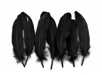 3 oz - Black Pack Satinettes Pallet Accent Feathers for Wedding Bouquets & Boutonnieres