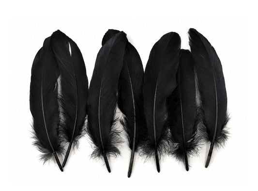 3 oz - Black Pack Satinettes Pallet Accent Feathers for Wedding Bouquets & Boutonnieres