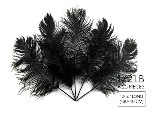 1/2 Lb - 12-16" Black Ostrich Tail Wholesale Fancy Feathers (Bulk)