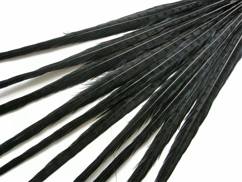 10 pieces - 18-22" Black Bleached Dyed Ringneck Accent Feathers for Wedding Centerpieces