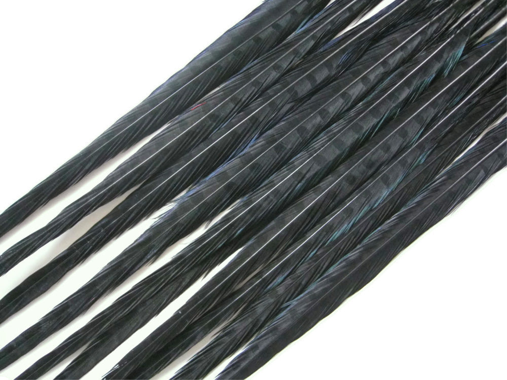 10 pieces - 18-22" Black Bleached Dyed Ringneck Accent Feathers for Wedding Centerpieces