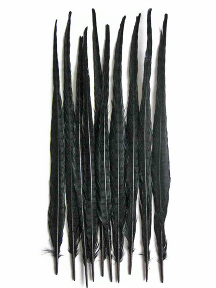 10 pieces - 18-22" Black Bleached Dyed Ringneck Accent Feathers for Wedding Centerpieces