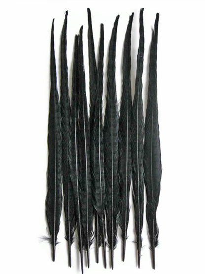 10 pieces - 18-22" Black Bleached Dyed Ringneck Accent Feathers for Wedding Centerpieces
