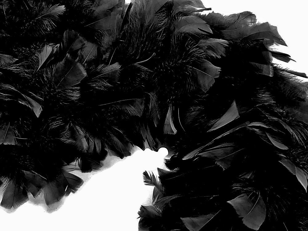 2 yards - Black Heavy Weight Flat Accent Feathers for Wedding Backdrops & Arches