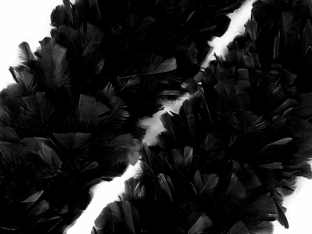 2 yards - Black Heavy Weight Flat Accent Feathers for Wedding Backdrops & Arches